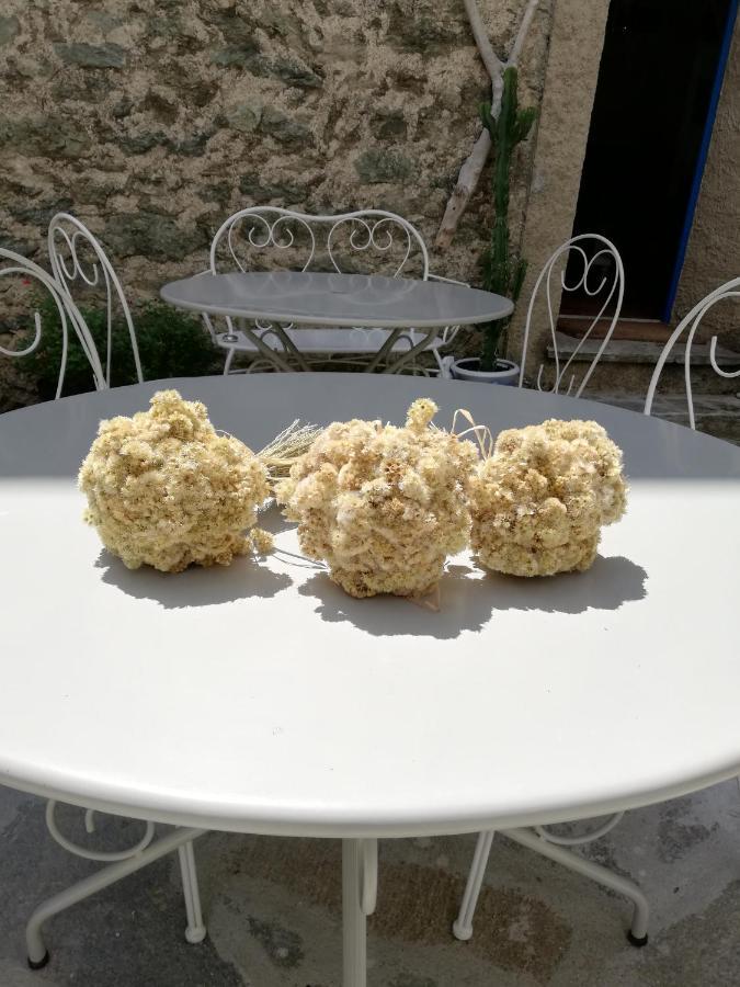 Parfumu Di Celu Hotel Santa-Lucia-di-Mercurio Kültér fotó