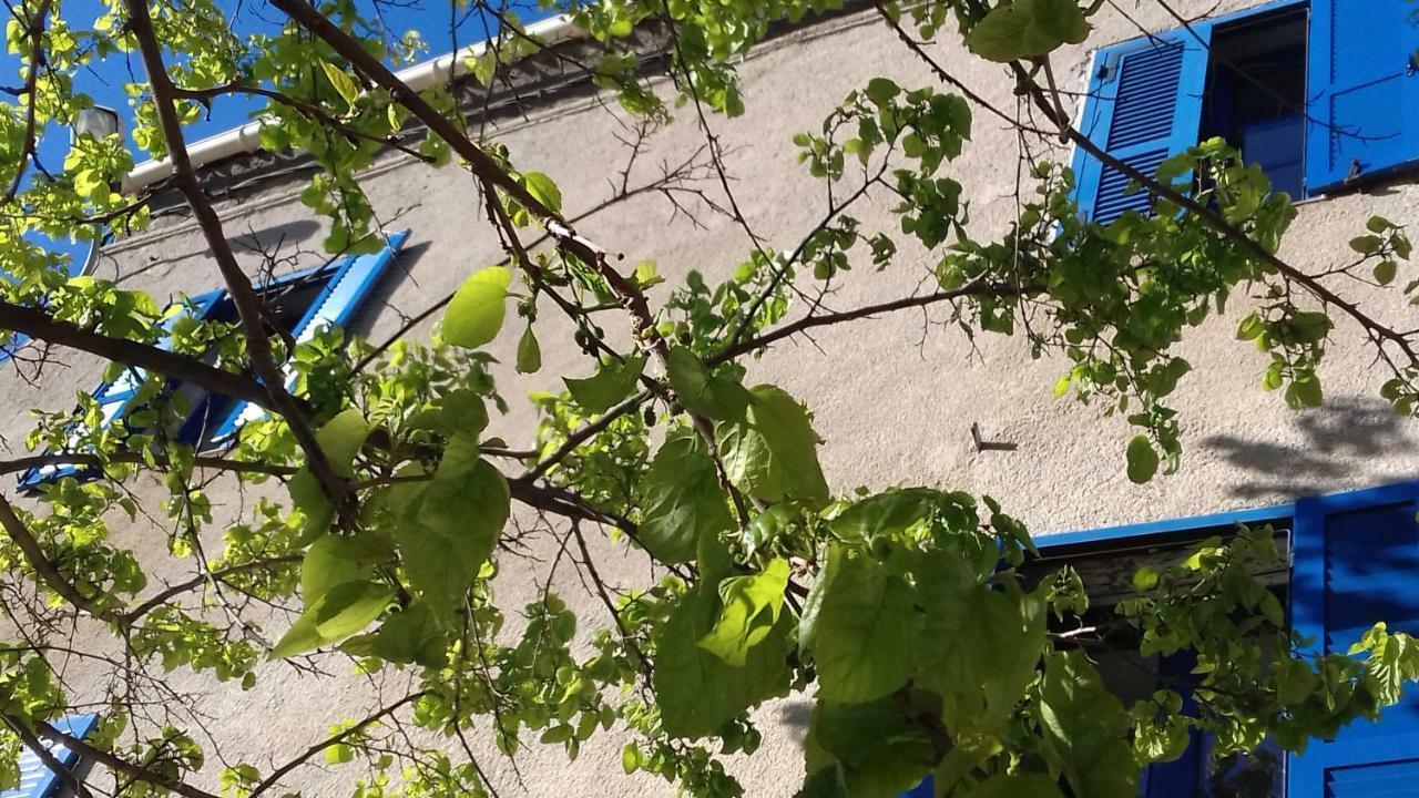 Parfumu Di Celu Hotel Santa-Lucia-di-Mercurio Kültér fotó